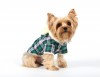 DoggyDolly W153 Teddymantel für Hunde grün -XXL- Brust 56-58 cm Rücken 36-38 cm
