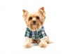 DoggyDolly W153 Teddymantel für Hunde grün -XXL- Brust 56-58 cm Rücken 36-38 cm