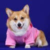 DoggyDolly W225 Kapuzen Pullover für Hunde SNOW ANGEL rosa