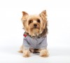 DoggyDolly W298 Hundejacke  AWESOME grau - S