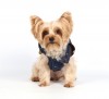 DoggyDolly W312 Jeansmantel für Hunde