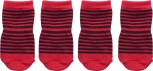 DoggyDolly SO003 Hundesocken rot-schwarz - M